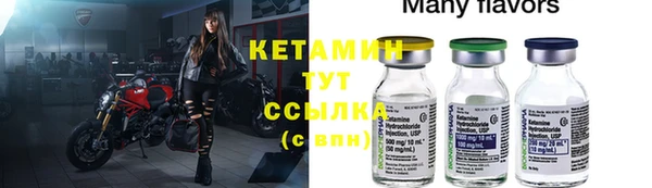 стаф Вяземский