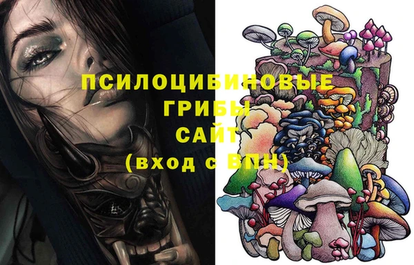стаф Вяземский