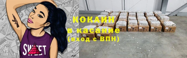 стаф Вяземский