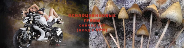 стаф Вяземский