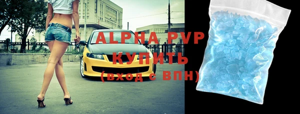 стаф Вяземский