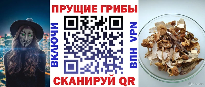 Галлюциногенные грибы Magic Shrooms  Мценск 