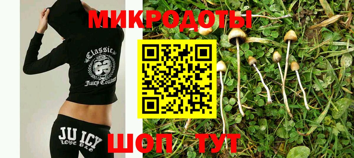 Псилоцибиновые грибы прущие грибы Мценск