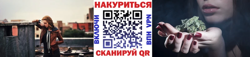 Шишки марихуана Amnesia  где можно купить наркотик  Мценск 